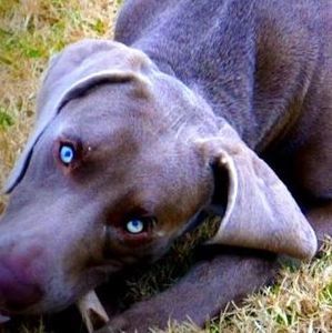 Meet your Posher, Kay